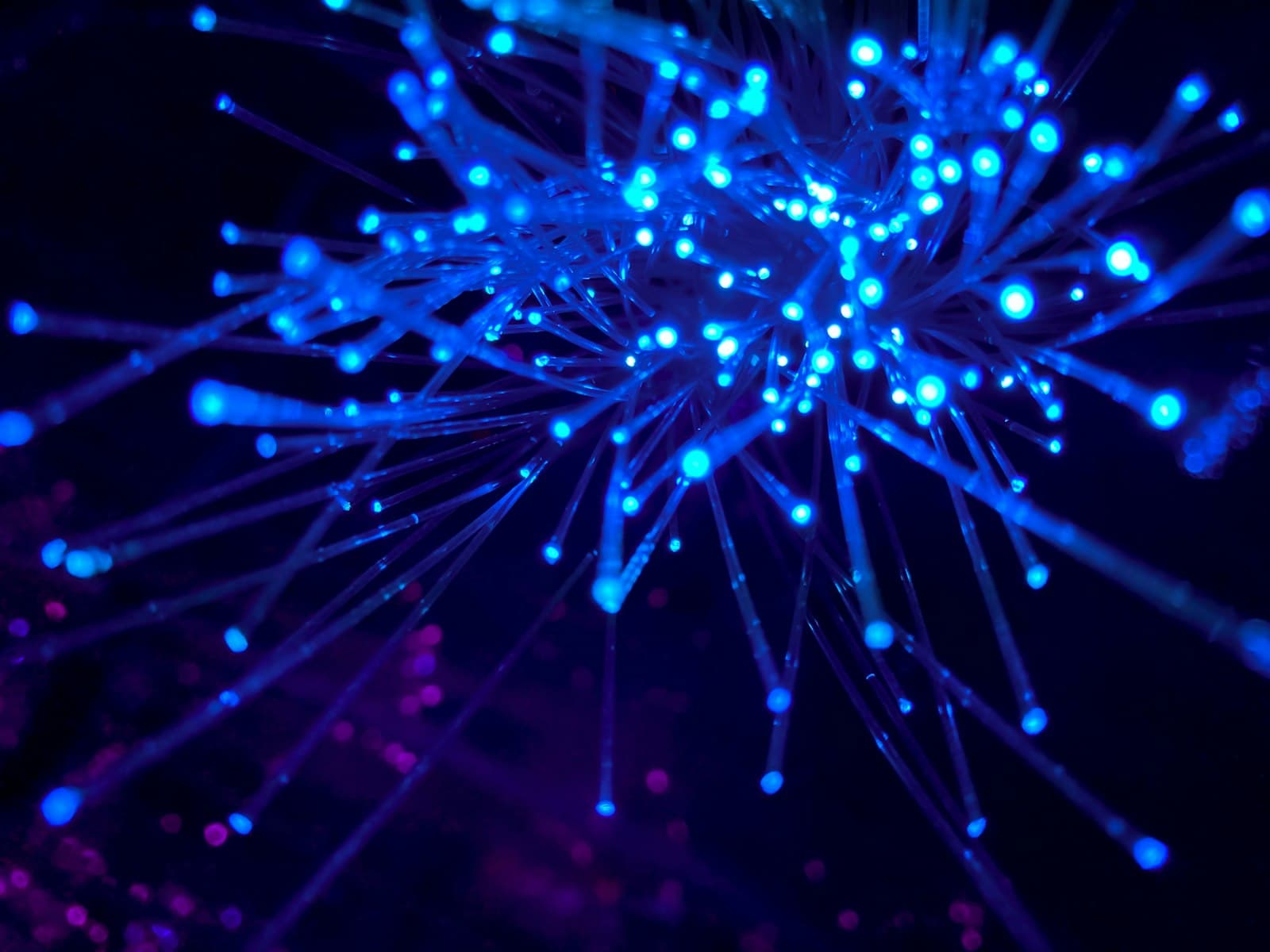 Servicios de Acceso a Internet